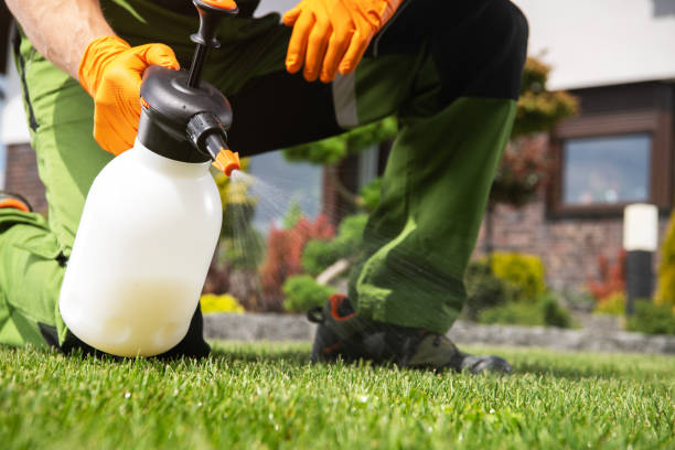 Best Residential Pest Control  in Churubusco, IN